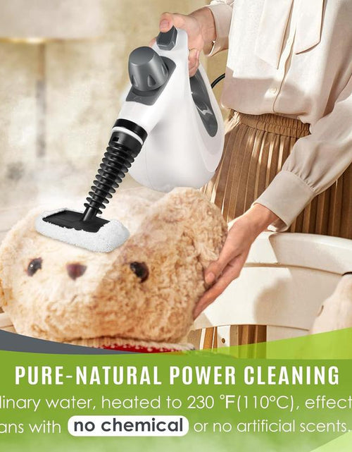 Load image into Gallery viewer, Pressurized Steam Cleaner &amp; Spin Scrubber
