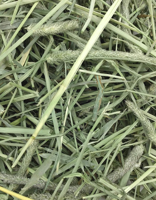 Load image into Gallery viewer, Animal Health Western Timothy Hay - All Natural Hay for Rabbits, Guinea Pigs, Chinchillas, Hamsters &amp; Gerbils-Veterinarian Recommended- Digestive &amp; Dental Health- Grown in the USA- 9Lb.
