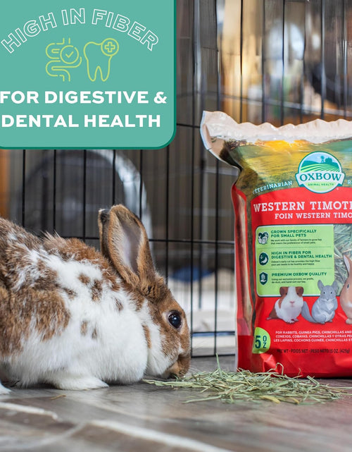 Load image into Gallery viewer, Animal Health Western Timothy Hay - All Natural Hay for Rabbits, Guinea Pigs, Chinchillas, Hamsters &amp; Gerbils-Veterinarian Recommended- Digestive &amp; Dental Health- Grown in the USA- 9Lb.
