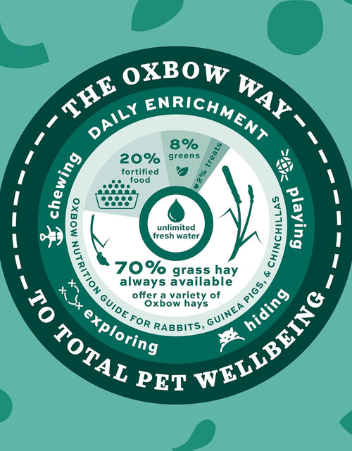 Load image into Gallery viewer, Animal Health Western Timothy Hay - All Natural Hay for Rabbits, Guinea Pigs, Chinchillas, Hamsters &amp; Gerbils-Veterinarian Recommended- Digestive &amp; Dental Health- Grown in the USA- 9Lb.
