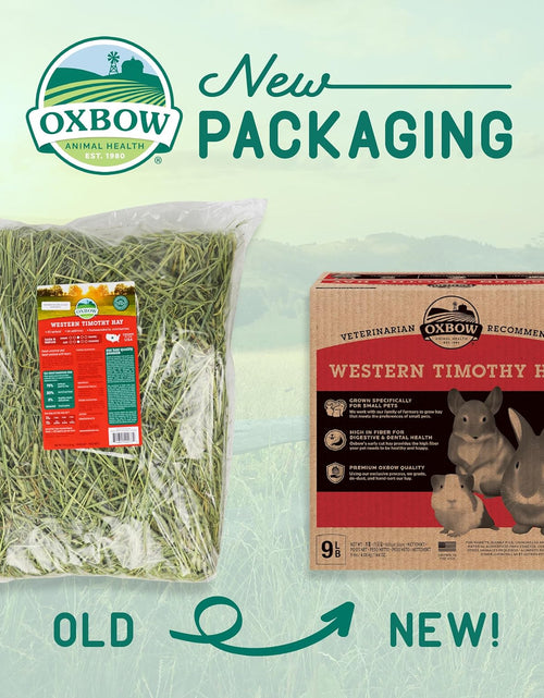 Load image into Gallery viewer, Animal Health Western Timothy Hay - All Natural Hay for Rabbits, Guinea Pigs, Chinchillas, Hamsters &amp; Gerbils-Veterinarian Recommended- Digestive &amp; Dental Health- Grown in the USA- 9Lb.

