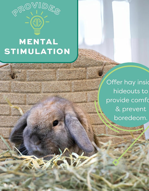 Load image into Gallery viewer, Animal Health Western Timothy Hay - All Natural Hay for Rabbits, Guinea Pigs, Chinchillas, Hamsters &amp; Gerbils-Veterinarian Recommended- Digestive &amp; Dental Health- Grown in the USA- 9Lb.
